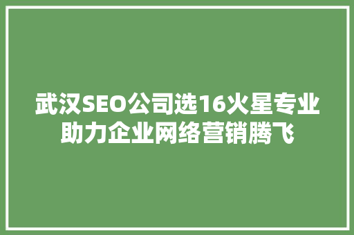 武汉SEO公司选16火星专业助力企业网络营销腾飞