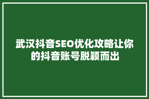 武汉抖音SEO优化攻略让你的抖音账号脱颖而出