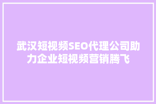 武汉短视频SEO代理公司助力企业短视频营销腾飞