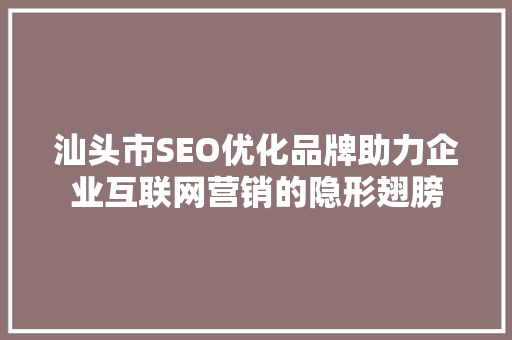 汕头市SEO优化品牌助力企业互联网营销的隐形翅膀