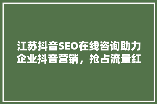 江苏抖音SEO在线咨询助力企业抖音营销，抢占流量红利