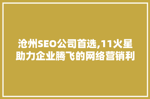 沧州SEO公司首选,11火星助力企业腾飞的网络营销利器