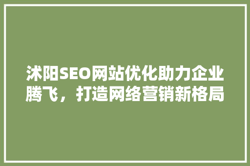 沭阳SEO网站优化助力企业腾飞，打造网络营销新格局