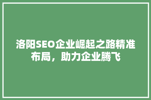 洛阳SEO企业崛起之路精准布局，助力企业腾飞