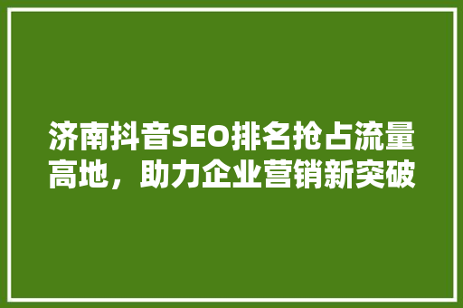 济南抖音SEO排名抢占流量高地，助力企业营销新突破