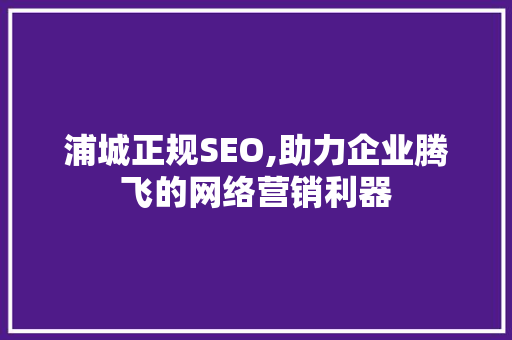 浦城正规SEO,助力企业腾飞的网络营销利器