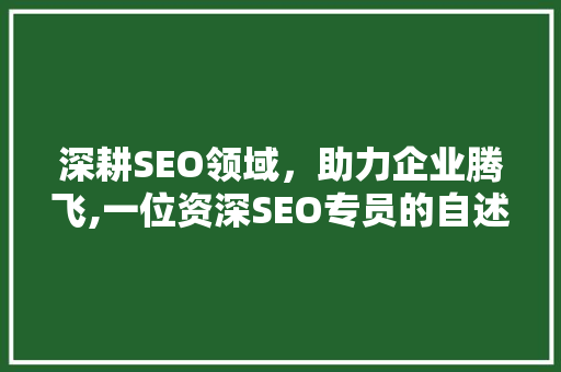 深耕SEO领域，助力企业腾飞,一位资深SEO专员的自述