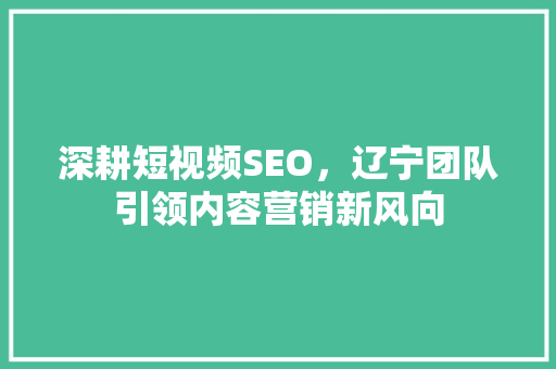深耕短视频SEO，辽宁团队引领内容营销新风向