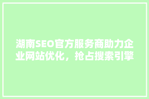 湖南SEO官方服务商助力企业网站优化，抢占搜索引擎流量高地