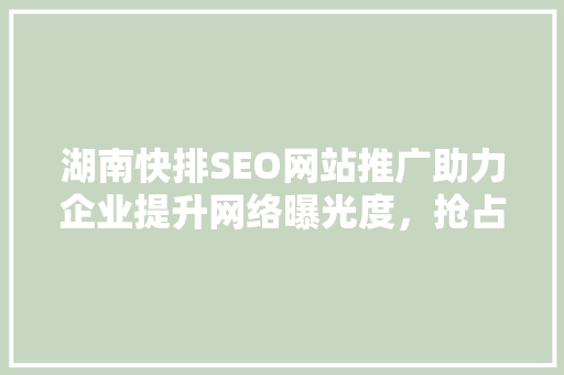 湖南快排SEO网站推广助力企业提升网络曝光度，抢占市场先机