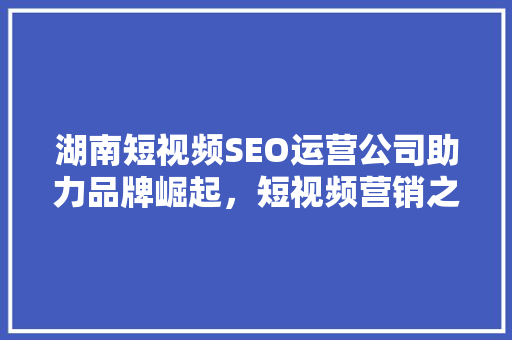 湖南短视频SEO运营公司助力品牌崛起，短视频营销之路