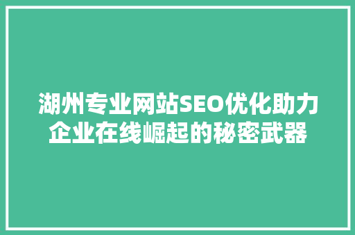湖州专业网站SEO优化助力企业在线崛起的秘密武器