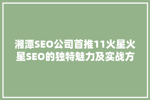 湘潭SEO公司首推11火星火星SEO的独特魅力及实战方法