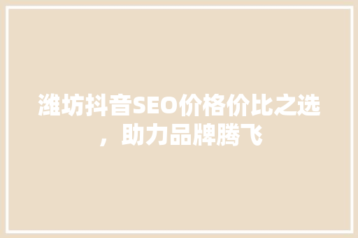 潍坊抖音SEO价格价比之选，助力品牌腾飞