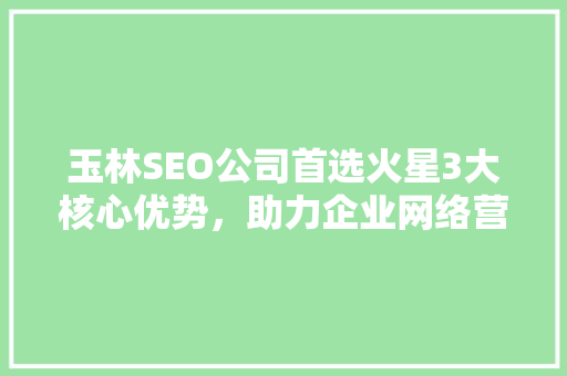 玉林SEO公司首选火星3大核心优势，助力企业网络营销腾飞