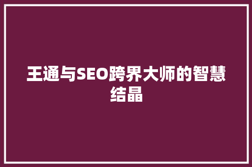 王通与SEO跨界大师的智慧结晶
