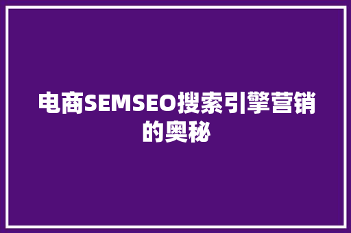 电商SEMSEO搜索引擎营销的奥秘