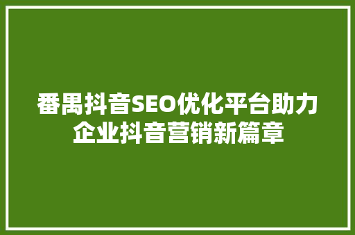 番禺抖音SEO优化平台助力企业抖音营销新篇章
