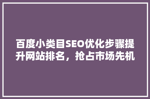 百度小类目SEO优化步骤提升网站排名，抢占市场先机