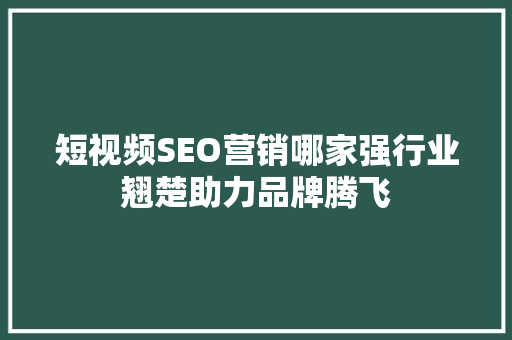 短视频SEO营销哪家强行业翘楚助力品牌腾飞