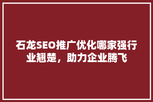 石龙SEO推广优化哪家强行业翘楚，助力企业腾飞