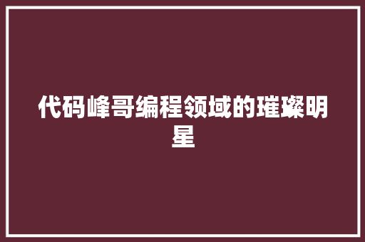 代码峰哥编程领域的璀璨明星