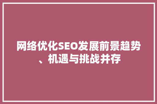 网络优化SEO发展前景趋势、机遇与挑战并存