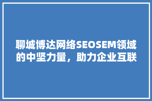 聊城博达网络SEOSEM领域的中坚力量，助力企业互联网营销