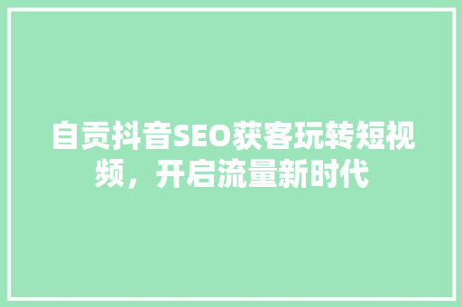 自贡抖音SEO获客玩转短视频，开启流量新时代
