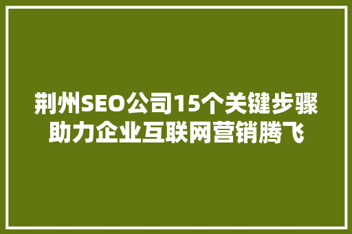荆州SEO公司15个关键步骤助力企业互联网营销腾飞