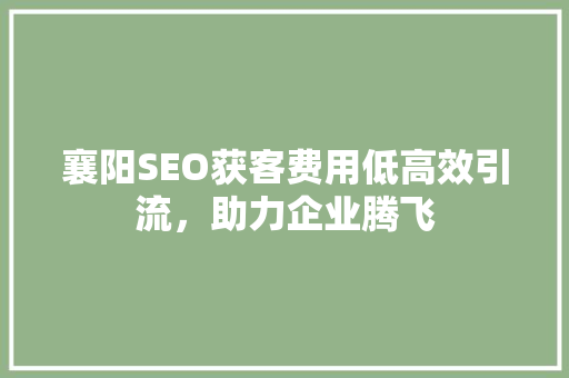 襄阳SEO获客费用低高效引流，助力企业腾飞
