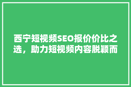 西宁短视频SEO报价价比之选，助力短视频内容脱颖而出