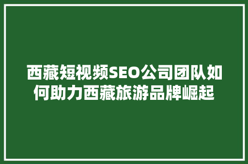 西藏短视频SEO公司团队如何助力西藏旅游品牌崛起