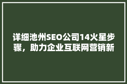 详细池州SEO公司14火星步骤，助力企业互联网营销新篇章