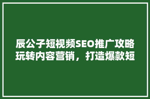辰公子短视频SEO推广攻略玩转内容营销，打造爆款短视频  第1张