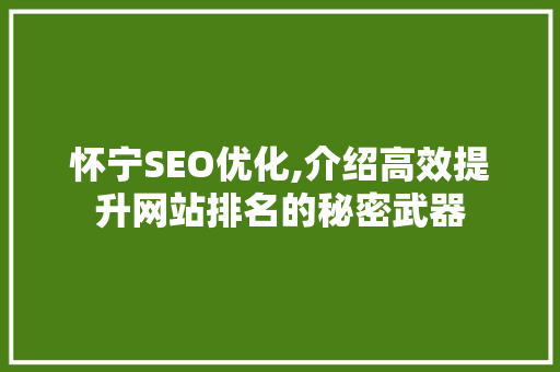 怀宁SEO优化,介绍高效提升网站排名的秘密武器