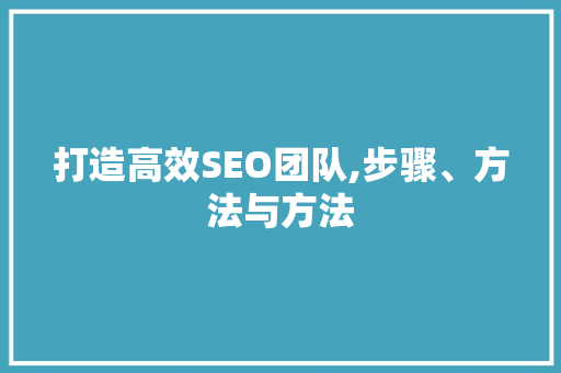 打造高效SEO团队,步骤、方法与方法