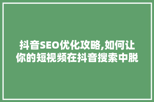 抖音SEO优化攻略,如何让你的短视频在抖音搜索中脱颖而出
