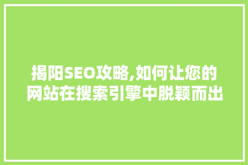 揭阳SEO攻略,如何让您的网站在搜索引擎中脱颖而出  第1张
