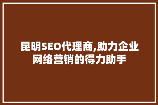 昆明SEO代理商,助力企业网络营销的得力助手