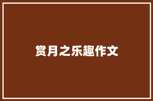 代码输入的艺术从数据到智慧