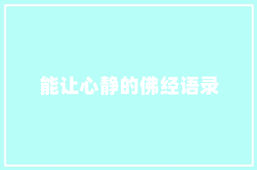 济南专业SEO企业优化,助力企业腾飞的网络营销步骤