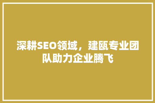 深耕SEO领域，建瓯专业团队助力企业腾飞