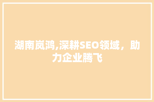 湖南岚鸿,深耕SEO领域，助力企业腾飞
