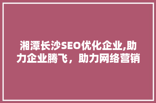 湘潭长沙SEO优化企业,助力企业腾飞，助力网络营销新篇章