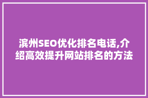 滨州SEO优化排名电话,介绍高效提升网站排名的方法