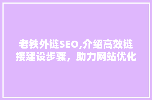 老铁外链SEO,介绍高效链接建设步骤，助力网站优化腾飞