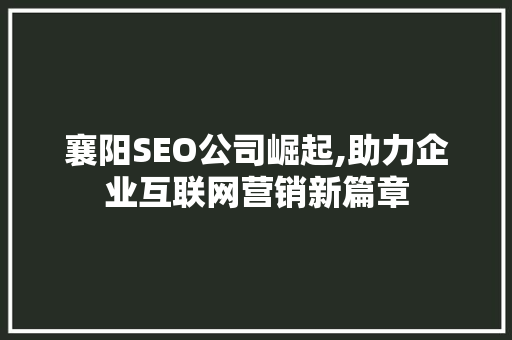 襄阳SEO公司崛起,助力企业互联网营销新篇章