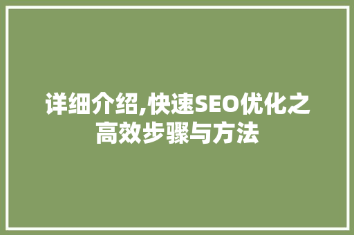 详细介绍,快速SEO优化之高效步骤与方法