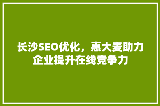 长沙SEO优化，惠大麦助力企业提升在线竞争力